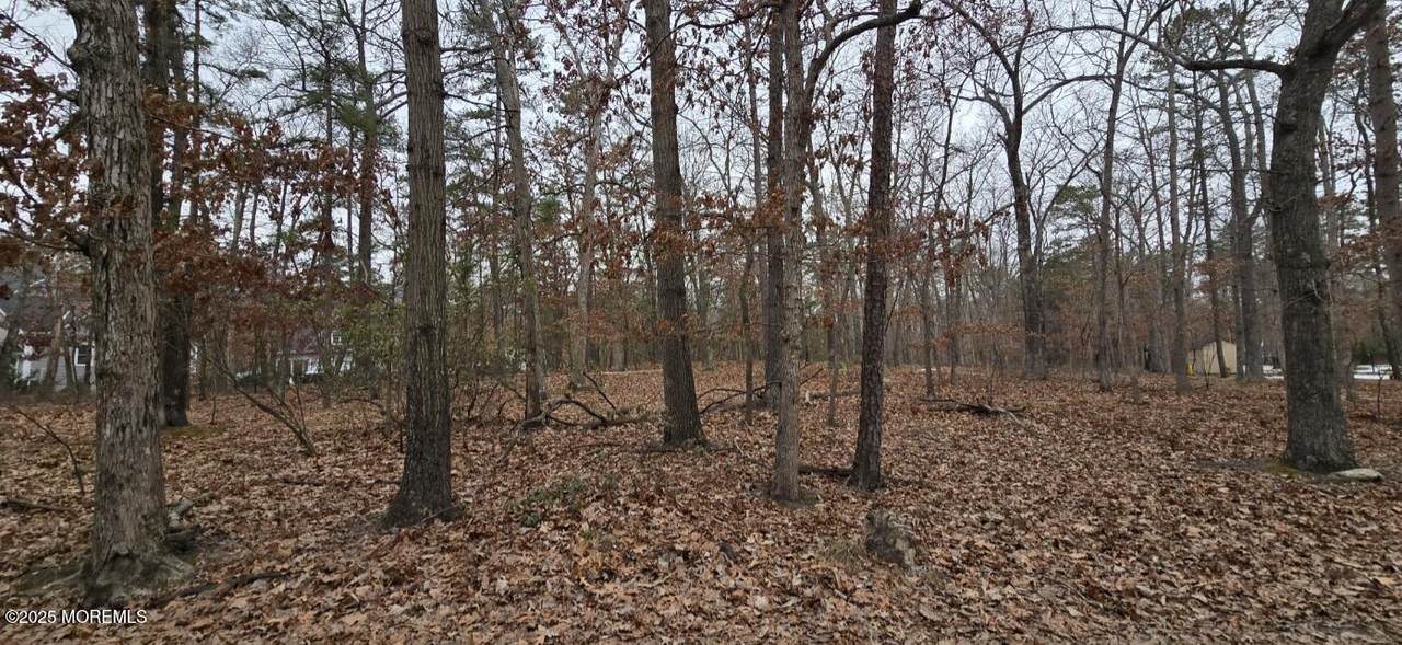 104 Wiseman Road - Photo 1