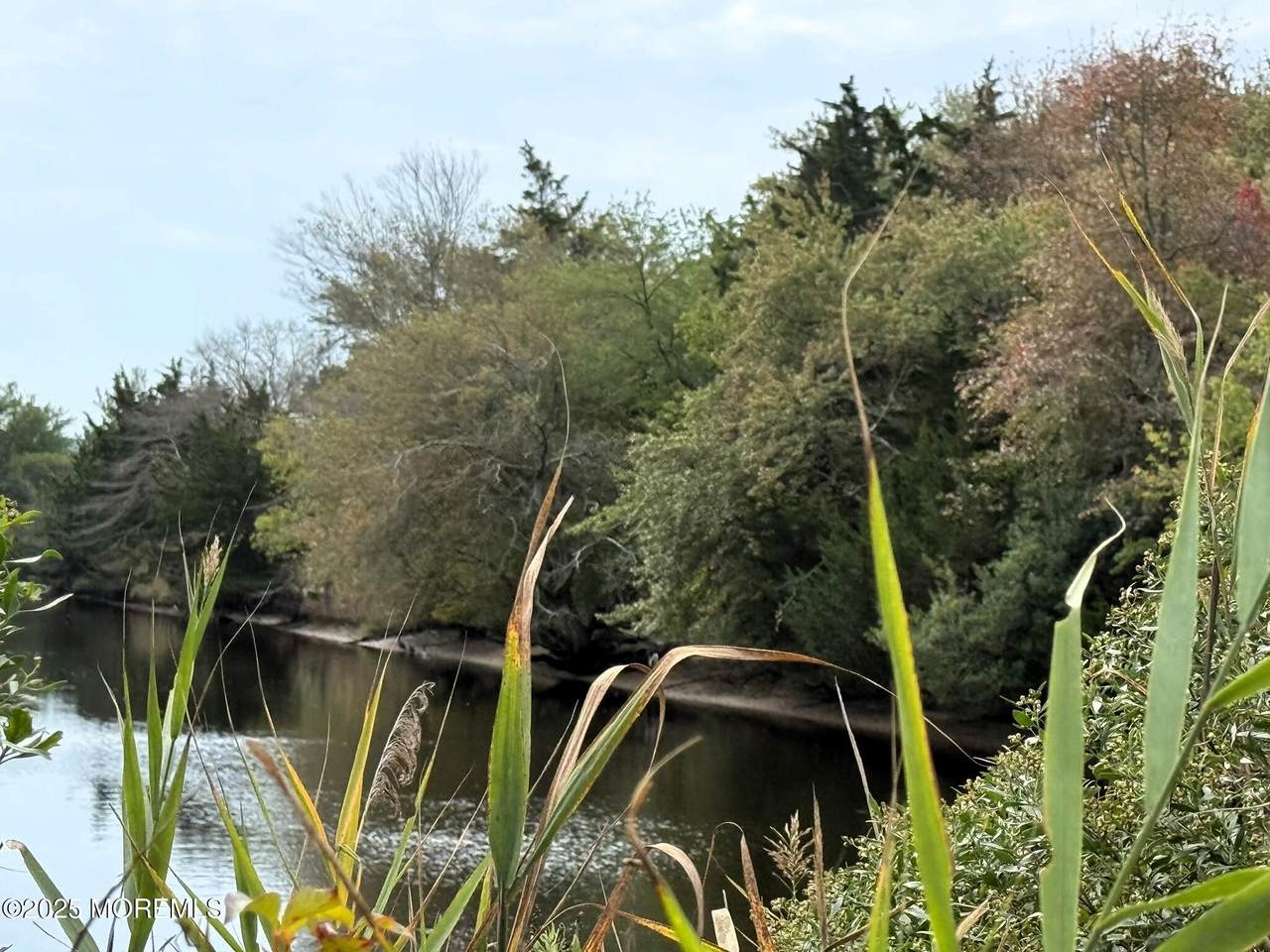 11 Persimmon Drive - Photo 1