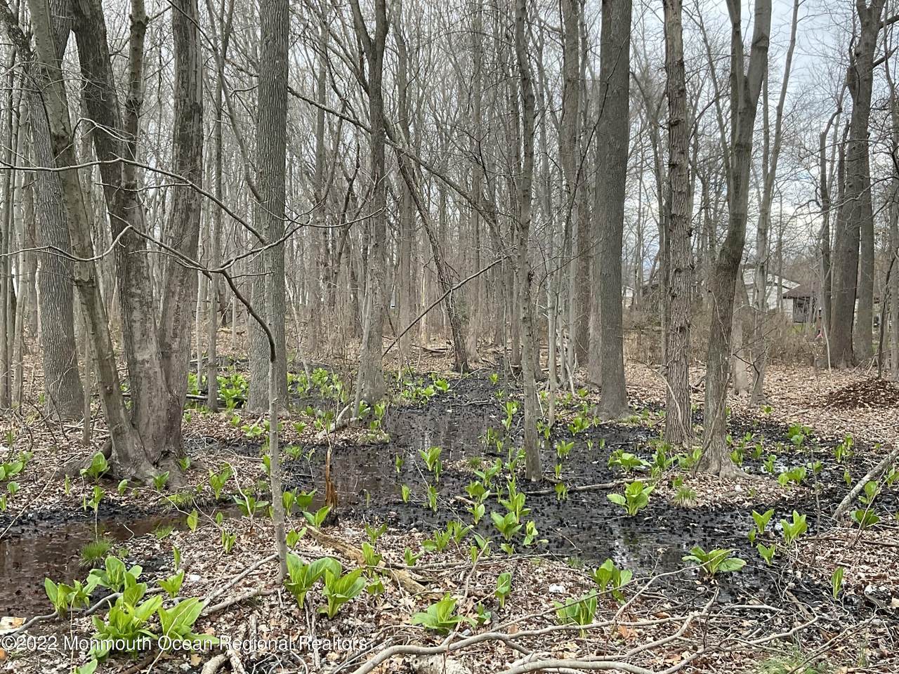 350 Pine Brook Road - Photo 1