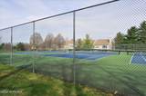 250 Daffodil Drive - Photo 51
