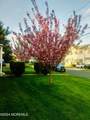 28 Homestead Avenue - Photo 35