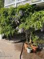 16 Beach Drive - Photo 100