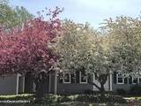 213 Ashlar Way - Photo 47