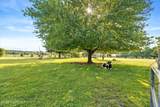 537 Chesterfield Arneytown Road - Photo 21