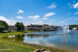 6 Swan Lake Court - Photo 50
