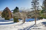 302 Bird Village Road - Photo 57