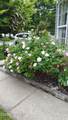 9 Pine Valley Road - Photo 45