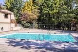 11 Owl Road - Photo 40