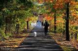 1 Scenic Drive - Photo 40