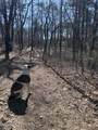 4005 Cleveland Street - Photo 47