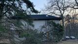 59 Falson Lane - Photo 11