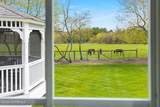 11 Nicholas Court - Photo 36