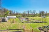 12 Nan Tone Court - Photo 36
