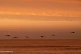 500 Ocean Terr - Photo 67