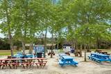 37 Sycamore Road - Photo 54