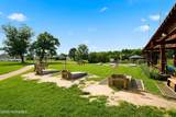15 Sandhurst Street - Photo 43