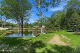 5 Sparrow Street - Photo 25