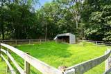 49 Maxim Road - Photo 23