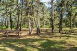 374 Port Royal Drive - Photo 40