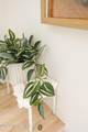 496 West Street - Photo 13