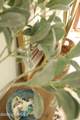 496 West Street - Photo 48