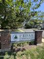 21 Cedar Avenue - Photo 3