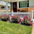 1624 Mount Everest Lane - Photo 2