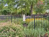 5 Yorke Lane - Photo 39