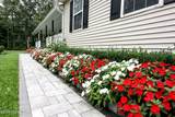 25 Shenandoah Avenue - Photo 4