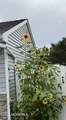 55 Alexandria Drive - Photo 36
