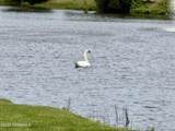 8 Dryden Road - Photo 26