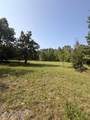 187 Colemans Bridge Road - Photo 23
