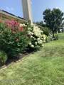 29 Valencia Drive - Photo 32