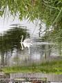 310 Maryland Avenue - Photo 23