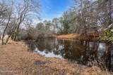 51 Charlotteville Drive - Photo 33