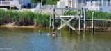 45 Hunter Drive - Photo 9