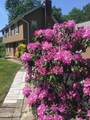 844 Miller Avenue - Photo 7