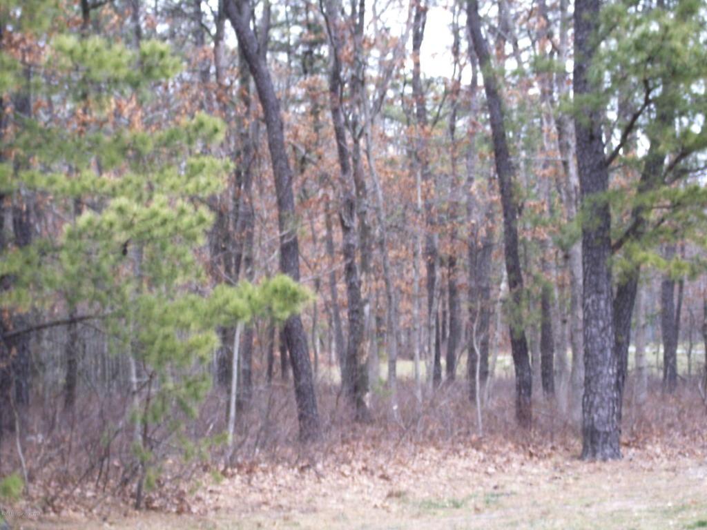66 Gunning River Road - Photo 1