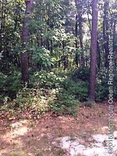 4 Turkey Swamp Road - Photo 1