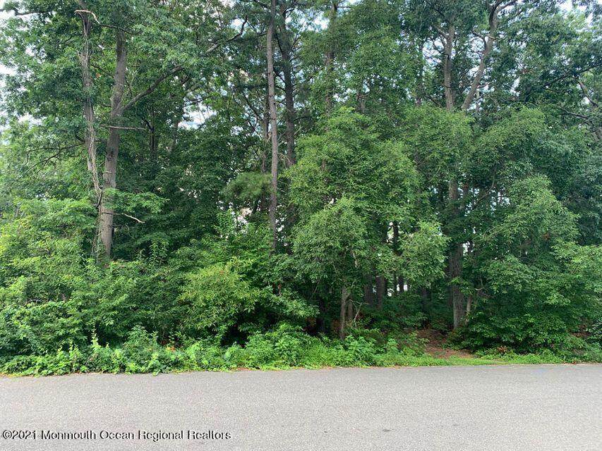 384 Mc Kinley Avenue - Photo 1