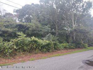 0 Birch Street - Photo 1