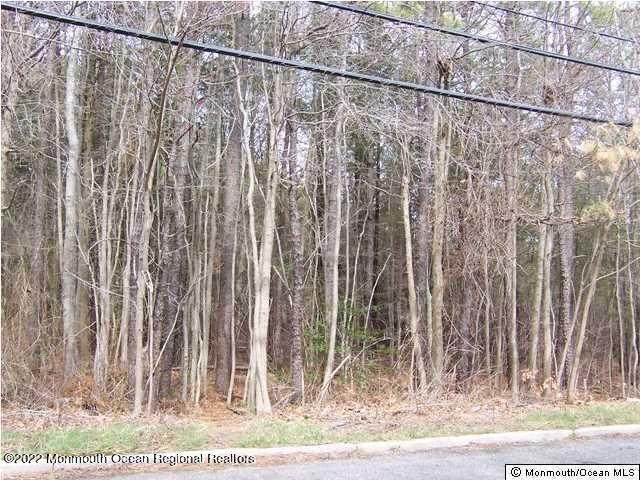 2022 Red Cedar Street - Photo 1