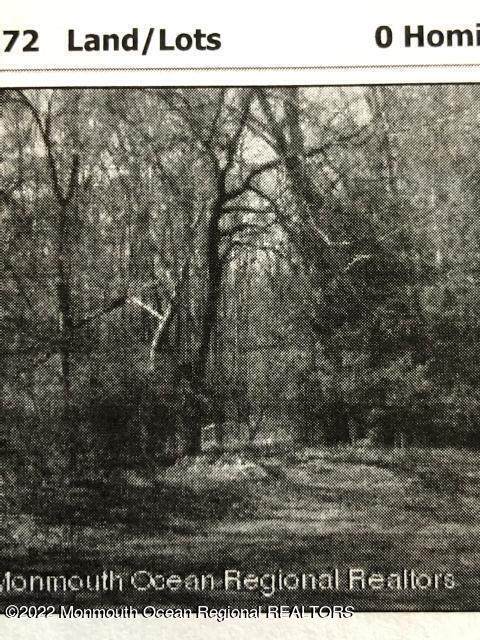 0 Hominy Hill Road - Photo 1
