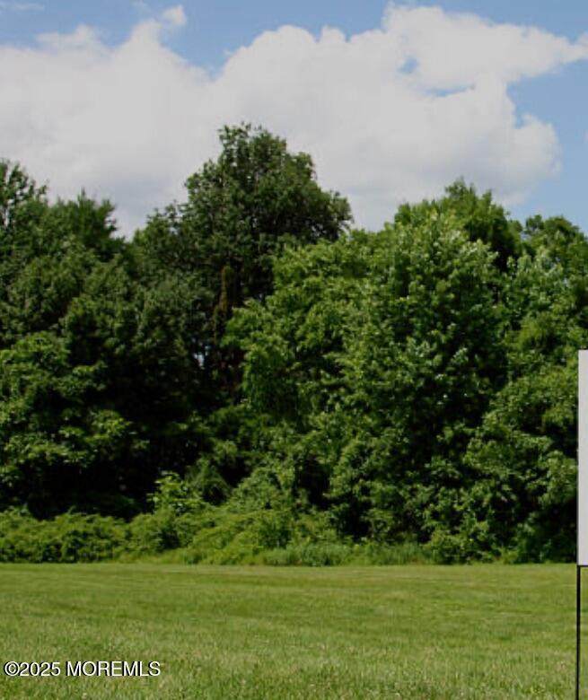 2641 Hurley Pond Road - Photo 1