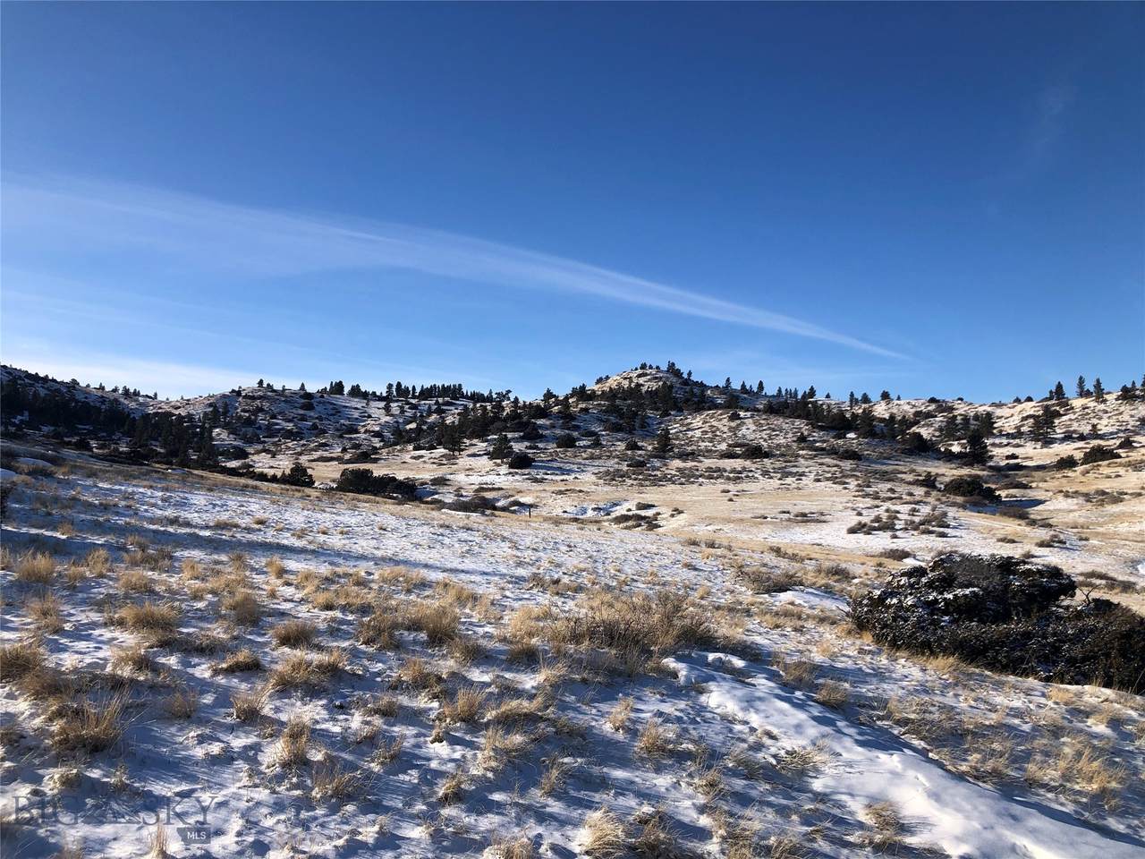 TBD Whistle Creek Rd - Photo 1