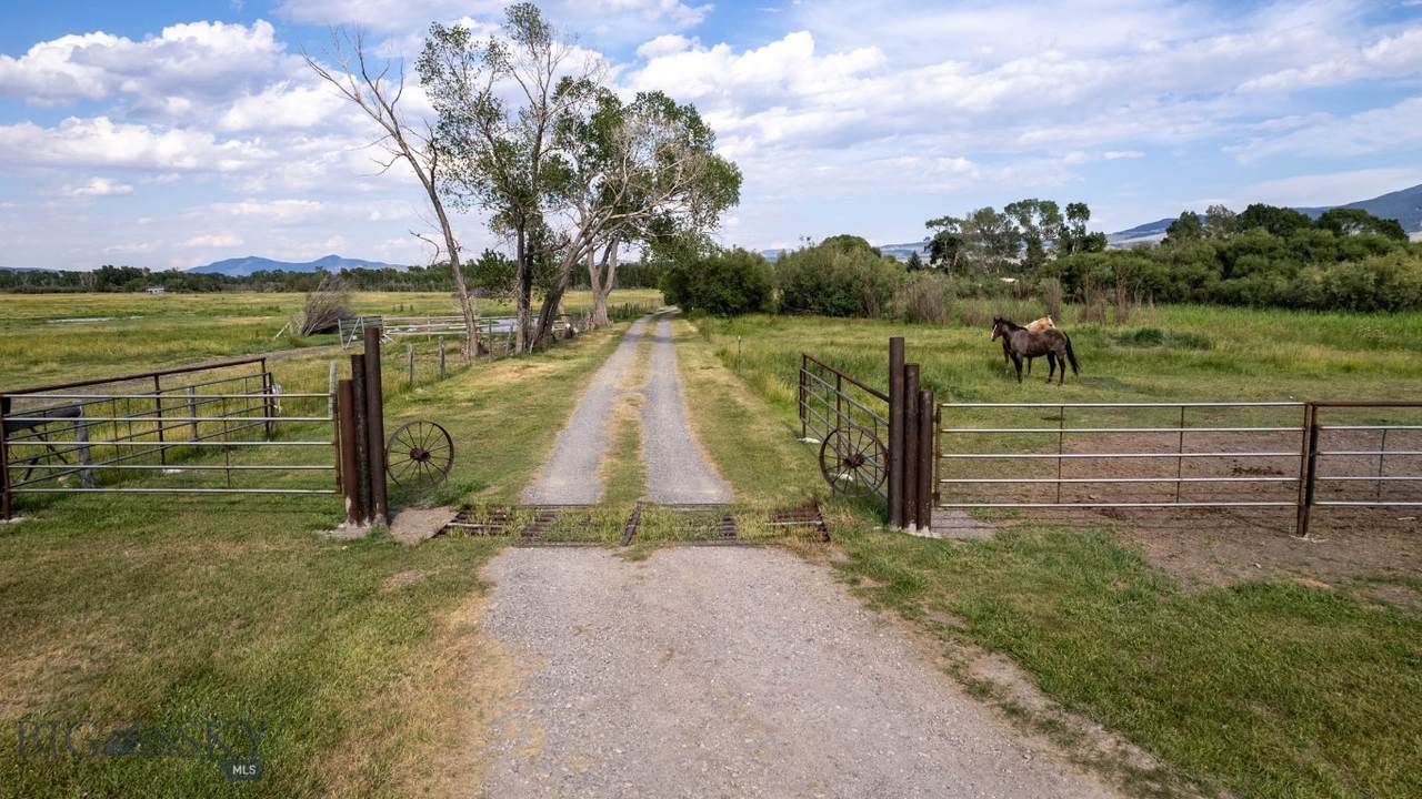 81 Daly Road - Photo 1
