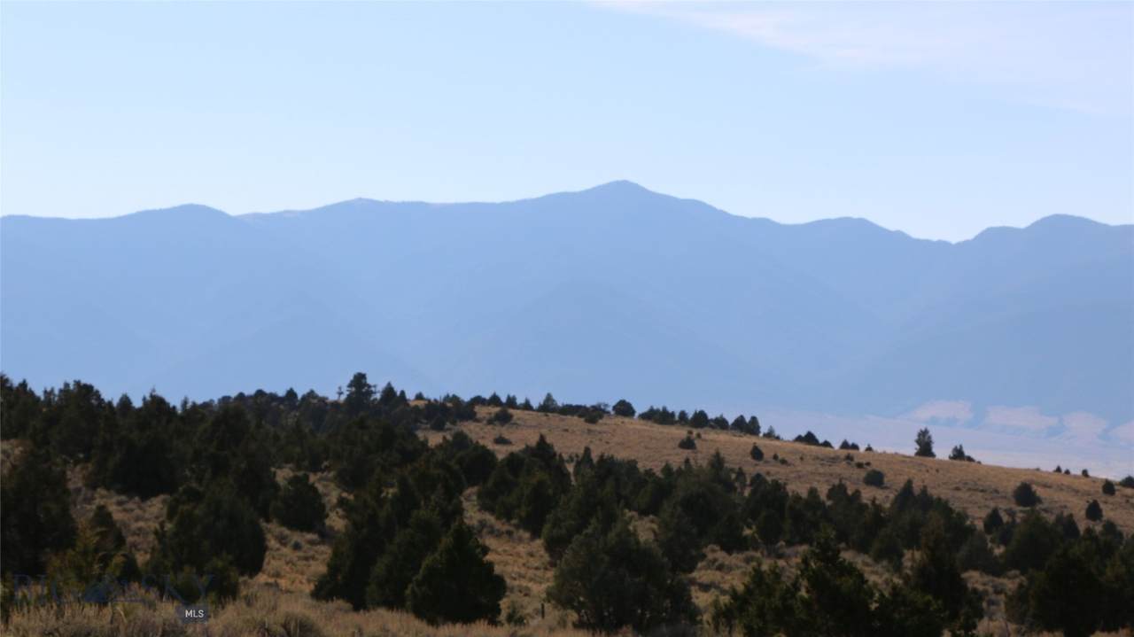 TBD Mill Gulch Road - Photo 1