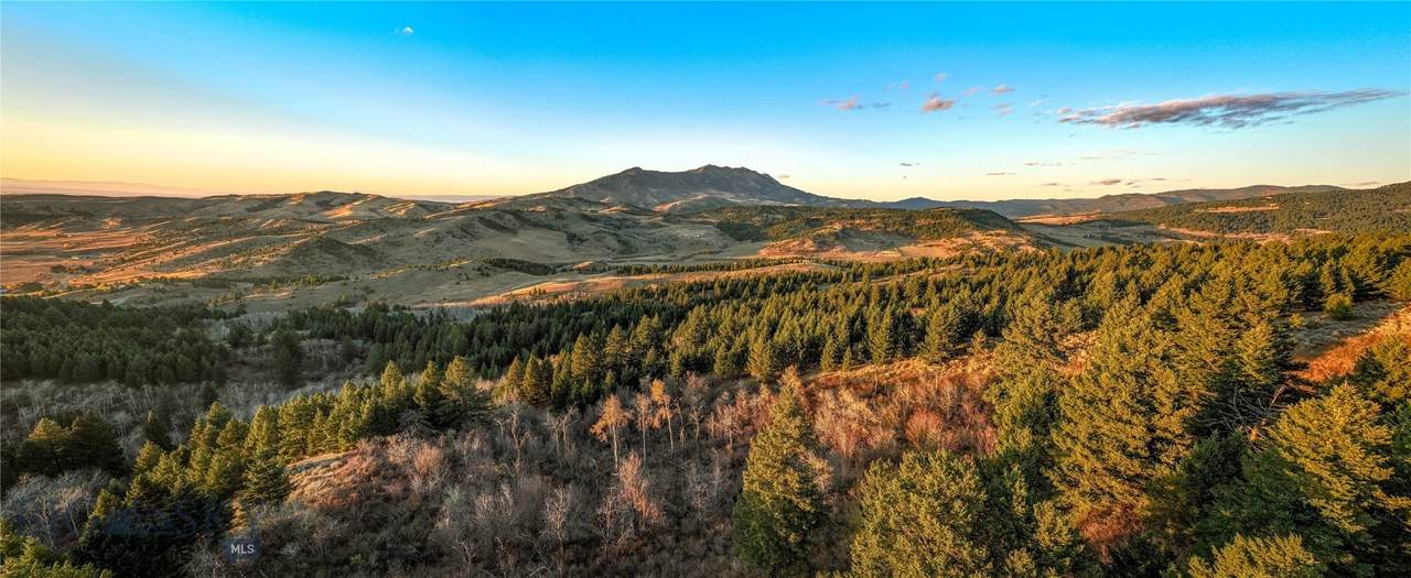 495 Moffit Gulch Road - Photo 1