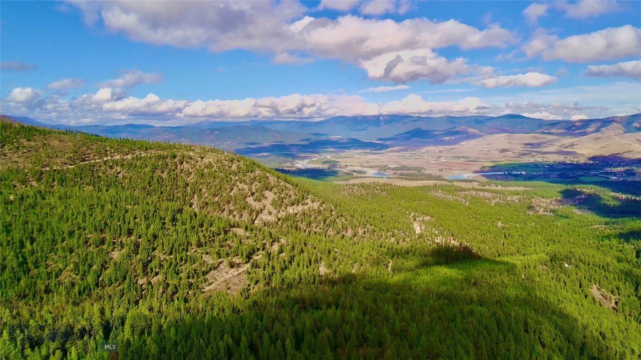 0 Fork Combest Creek Road - Photo 1