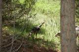 Block 209 Virginia City Original Townsite - Photo 2